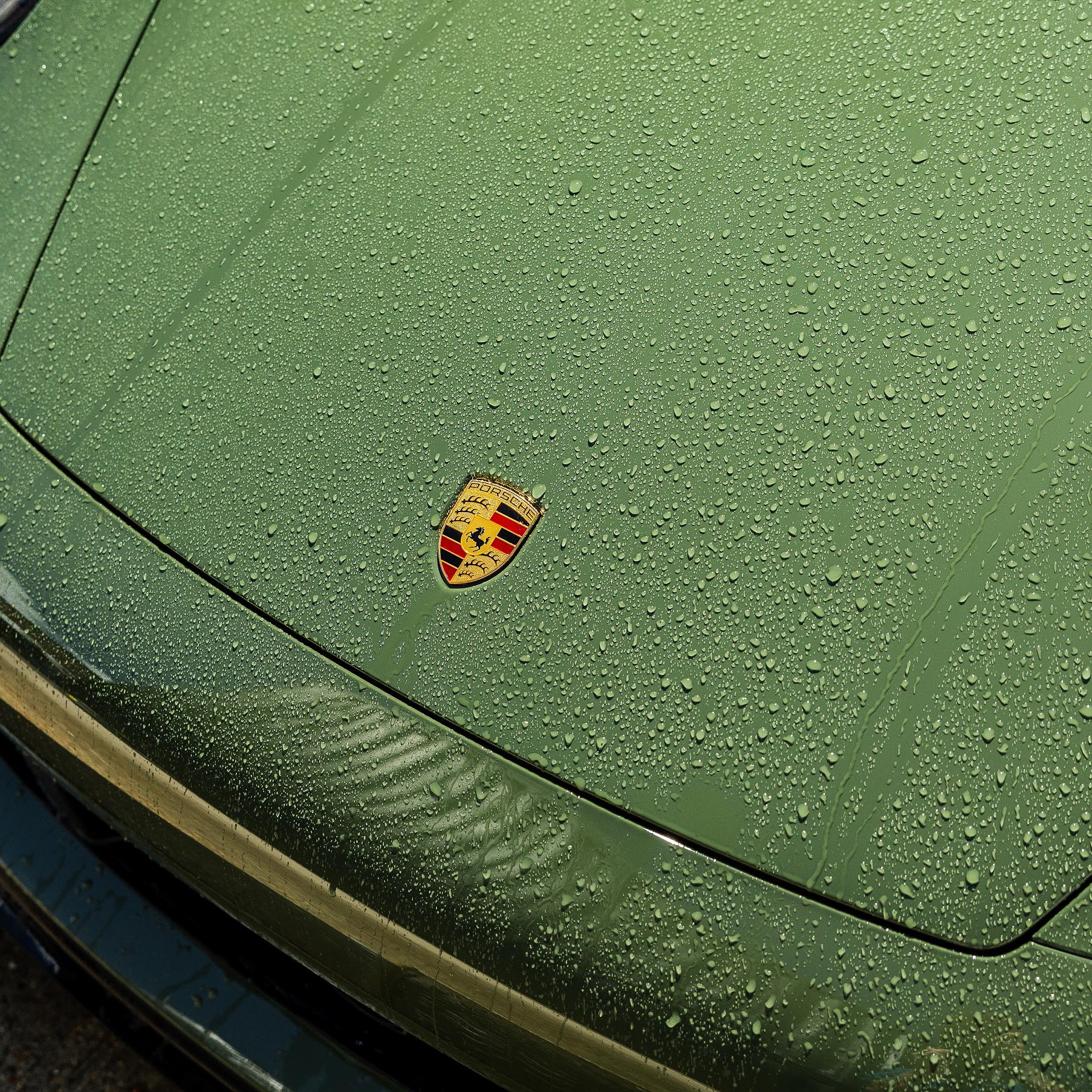 Wash 'N' Gloss Car Shampoo - Image 8